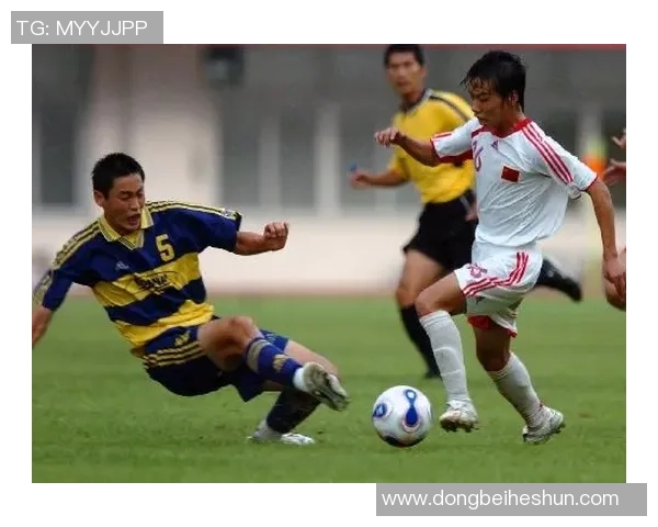 杭州攀岩队的奋斗与荣耀：极限运动会背后的故事与突破历程