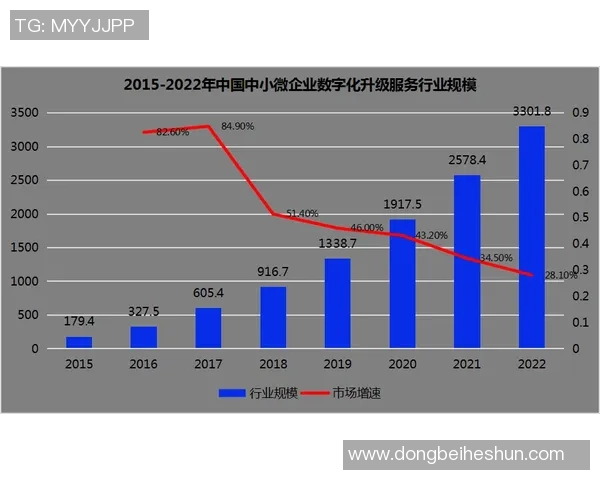西安飞盘队运营分析：成功经验与面临挑战的深度探讨