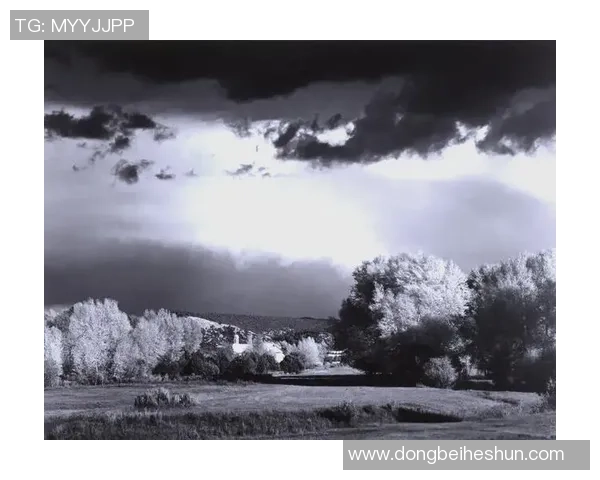 亚当斯的传奇人生与影响力探究：从历史到现代的深远启示