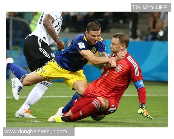 德国与瑞典比赛彩票投注比例分析及影响因素探讨